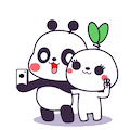电子相册排行榜(相册软件哪个好)插图1