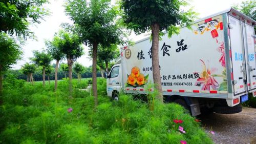 黄庄美食大全排名前十(海淀黄庄附近美食)插图5