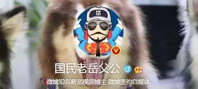 微博红人排行榜男(男网红排名前十)插图2