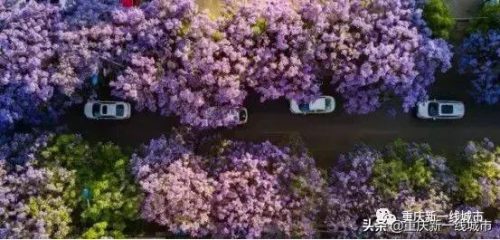 重庆最好豪宅排名前十(北京十大豪宅)插图2