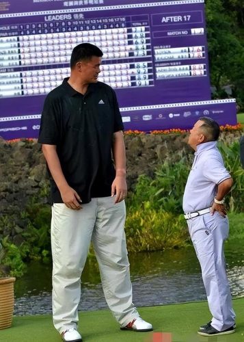 中国高人身高排行榜(中国第一高人2.81米)插图6