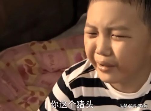 王艳的儿子(王艳兵父亲是干什么的)插图13