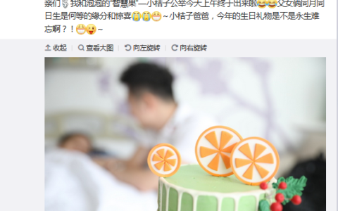 红果果绿泡泡智慧树(小小智慧树2009年5月)