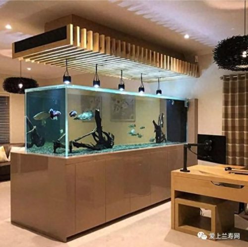 十大鱼缸品种排行榜(十大鱼缸排名前十名)插图41