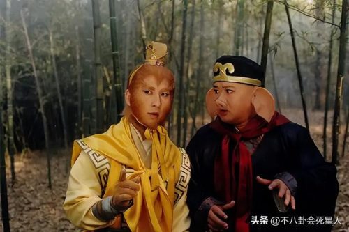 老牌明星排行榜(张学友的知名度)插图28