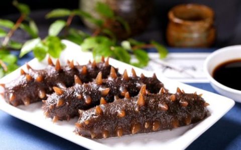 辽宁海参品牌排行榜(大连淡干海参哪家最好)