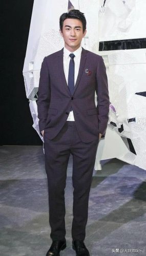 男星身高排行榜(身高190以上男明星)插图25