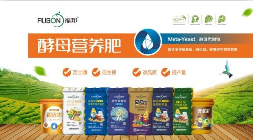 生物菌肥排行榜(山东十大生物菌肥厂家)插图5