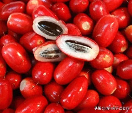 世界最奇葩的水果排名前十(全球六大奇葩水果)插图9
