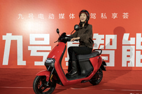 2017款电动车排名前十(品牌电动车排行榜前十位)插图4