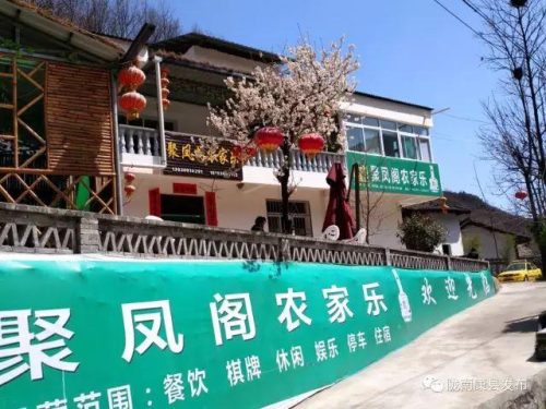 康县宾馆排名前十酒店(康县酒吧)插图21
