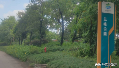 佛山禅城景区排名前十(禅城区附近有什么景点)插图8