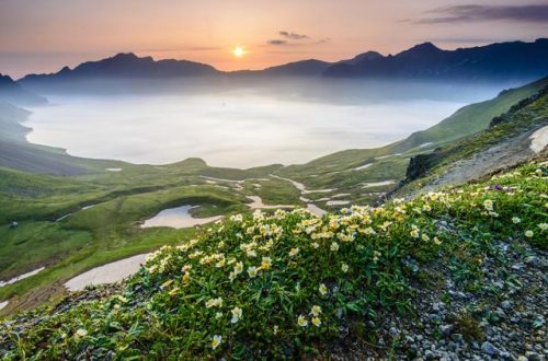 三伏天避暑胜地(三伏天是哪天)插图1