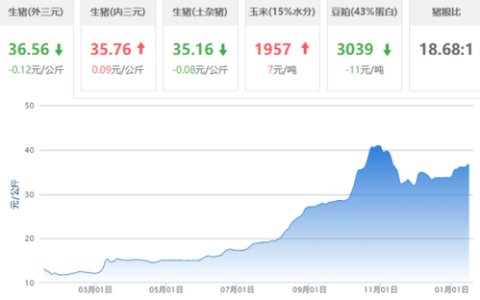 最红游戏排行榜(什么游戏最火还排名第一个)