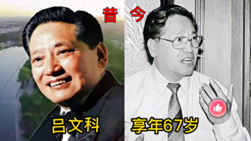 年度十大男高音演员排行榜(十大实力男演员)插图10