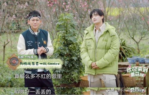 网综艺节目排行榜(全网综艺热度排名)插图15