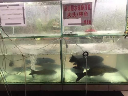 蟹煲排行榜(全国十大肉蟹煲加盟排行榜)插图48