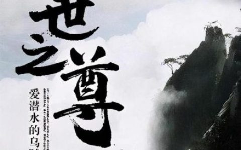 2015推荐小说排行榜(热门完本小说排行榜)