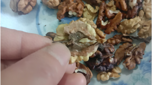 十大核桃里隔心木排行榜(隔心木图片)插图4