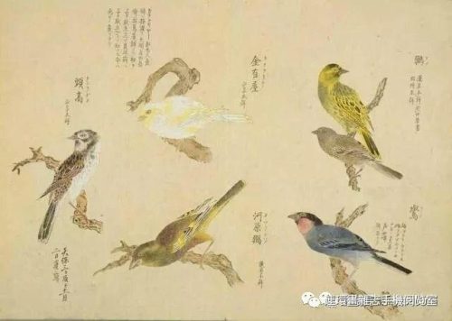 屈原的名诗10首(二年级屈原的诗)插图12
