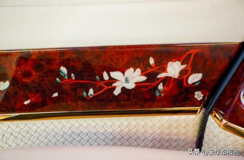 高档商务车排行榜(最豪华的mpv排行榜)插图25