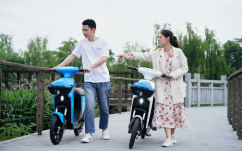 锂电电动车排行榜(锂电池的电动车有哪些)
