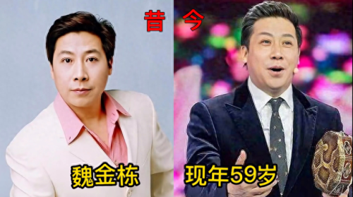 年度十大男高音演员排行榜(十大实力男演员)插图
