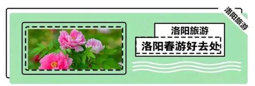 洛宁美食中餐排名前十(洛宁特色美食)插图19