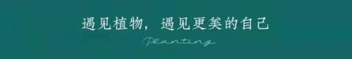 草草木香水排行榜(最好闻的木质香水)插图