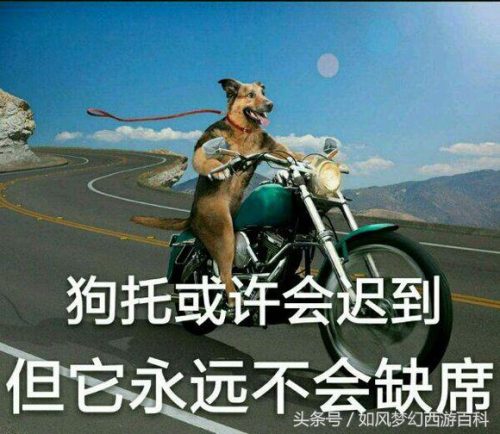 好神拖的排行榜(足球高手哥推荐)插图9