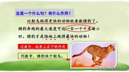 俯冲的近义词(府冲近义词是动词吗)插图10