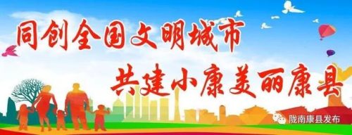 康县宾馆排名前十酒店(康县酒吧)插图53