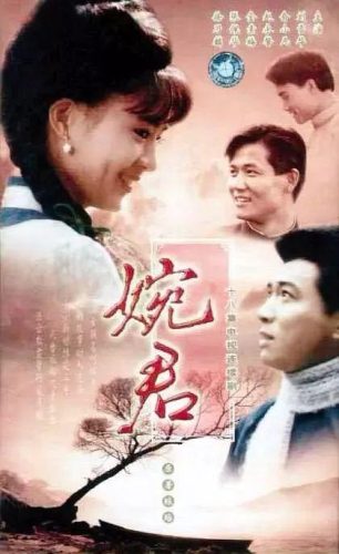 怀旧的电视剧(80年代农村电视剧100部)插图11