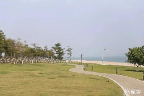 厦门夜宵排行榜(厦门大排档排名榜)插图23