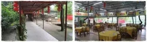 蟹煲排行榜(全国十大肉蟹煲加盟排行榜)插图22
