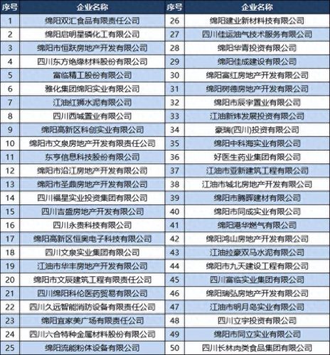 绵阳经开区企业排名前十(绵阳经开区最好的项目)插图4