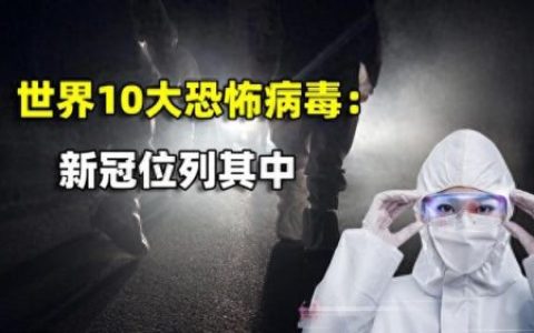 世界十大最恐惧病毒排行榜(世界十大恐怖视频)