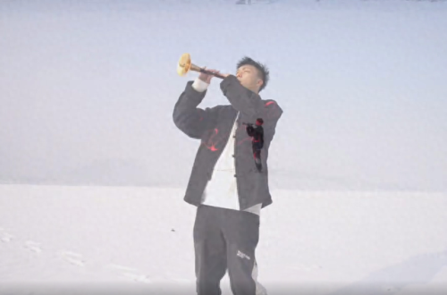 十大唢呐电音曲目排行榜(唢呐电音完整版)插图4