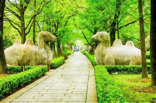 南京风景区排行榜(南京旅游哪里好玩)插图8