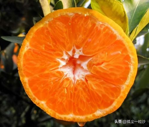 德兴便宜饭店排名前十(德兴酒店哪家环境好)插图7