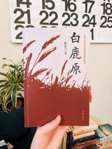 畅销小说排行榜2015(畅销图书排行榜)插图8