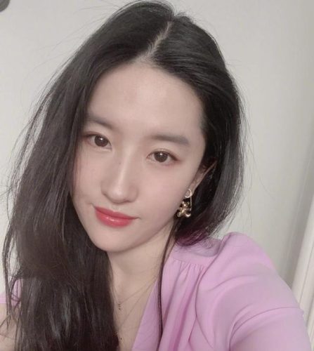 素颜女神排行榜前10(素颜女明星漂亮前十)插图7