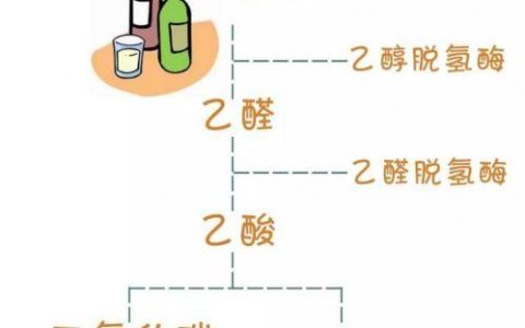 解酒饮料排行榜(解酒饮料前十名品牌)
