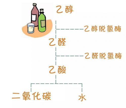 解酒饮料排行榜(解酒饮料前十名品牌)插图