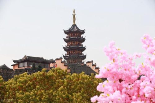 南京风景区排行榜(南京旅游哪里好玩)插图25