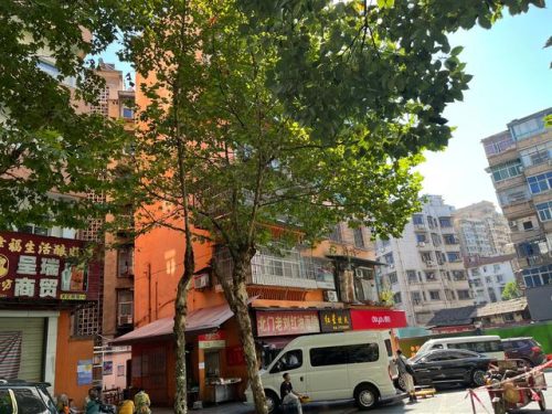 宜昌拍卖机构排名前十(宜昌拍卖公告)插图1