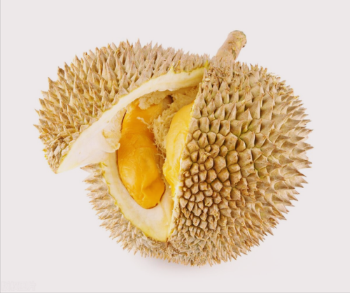 最好的榴莲品牌排行榜(榴莲牌子品种十大排名)插图4