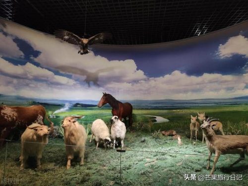 新疆边塞城市排名前十(中国边疆地区有哪些)插图12