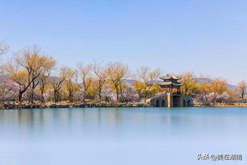 高考状元姓名排行榜(历年高考状元名字大全)插图11