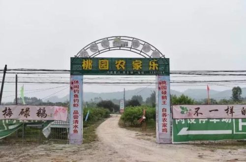 蟹煲排行榜(全国十大肉蟹煲加盟排行榜)插图28
